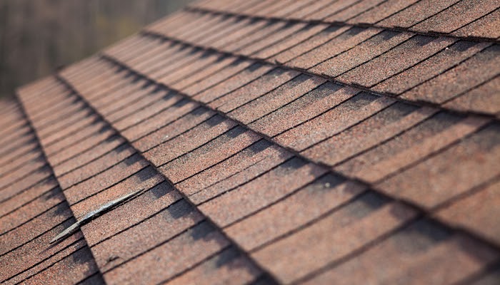 Shingle-Roof
